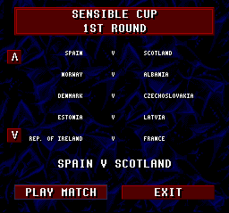 Sensible Soccer Screenthot 2